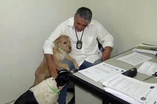 Policiais adotam cães famintos e aliviam tensão em delegacia