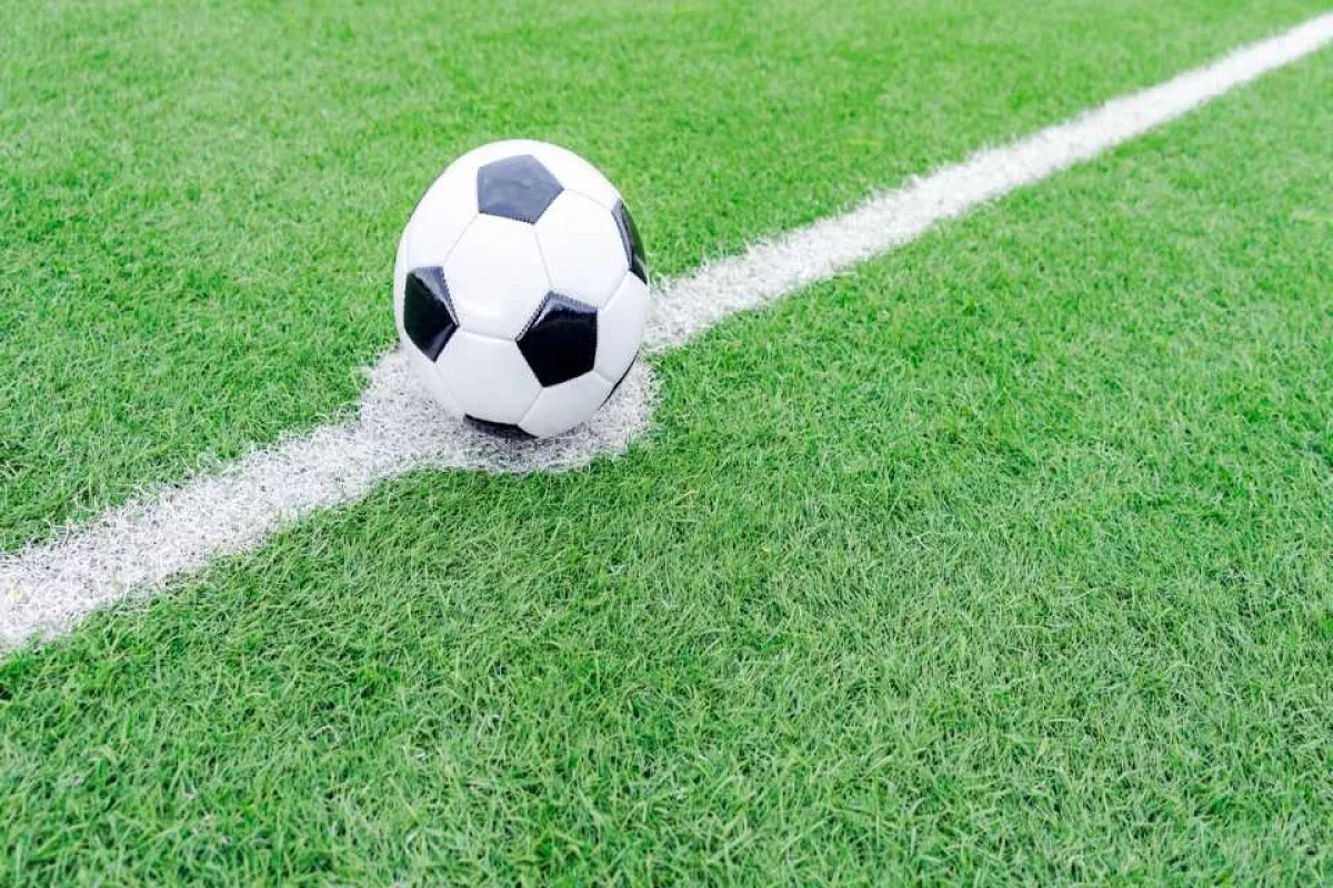 Apostas Champions League: saiba tudo para apostar