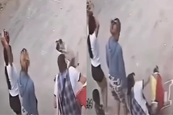 Vídeo mulher é atingida na cabeça por cachorro pug que caiu da sacada