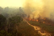 Partido apontou risco de incêndio florestal