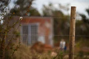 Cercas de madeira, arame, bambu e delimitação de terra são perceptíveis Cercas de madeira, arame, bambu e delimitação de terra são perceptíveis