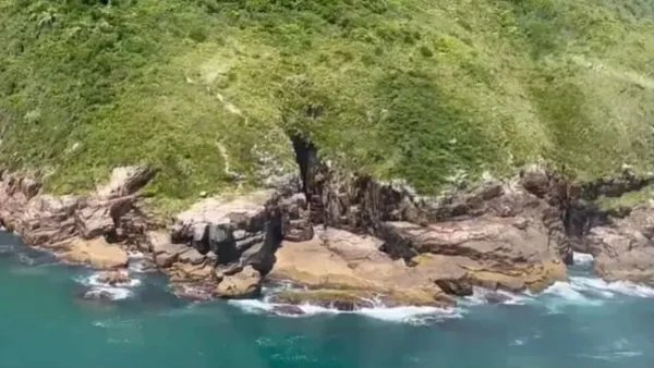 Florianópolis: homem morre ao cair de altura de 15 metros em trilha