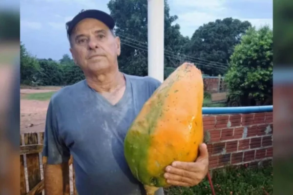 Foto colorida de produtor rurar segundao mamão de 10 kg - Metrópoles