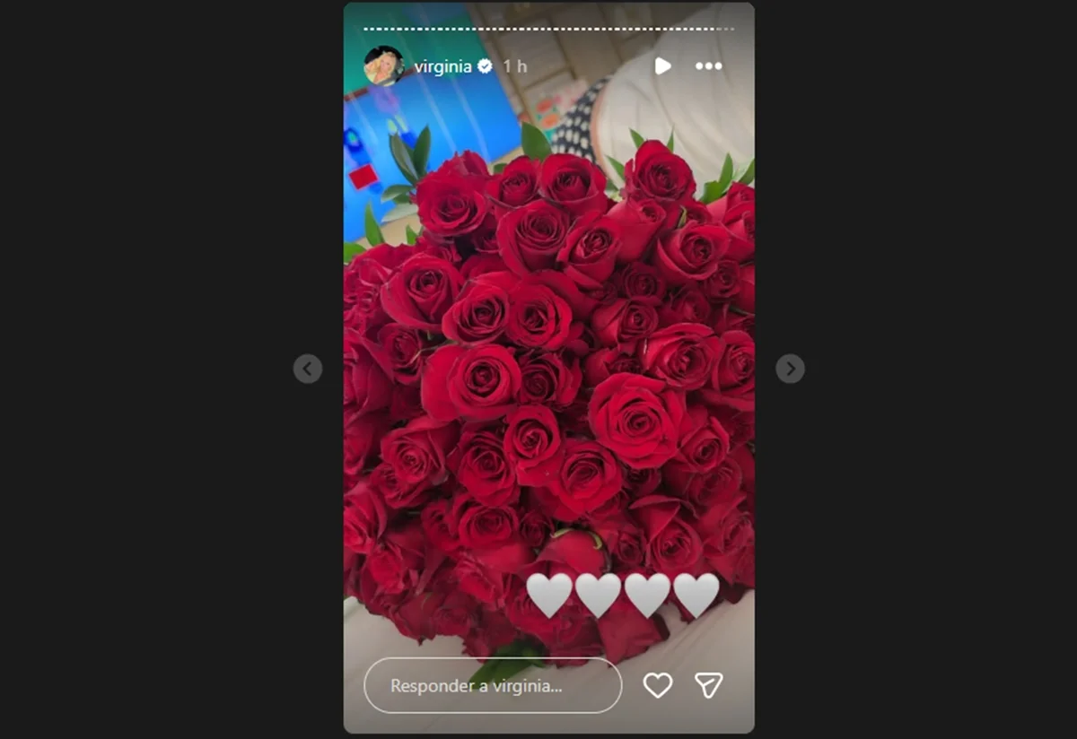 Virginia ganhou um novo buquê de rosas Virginia ganhou um novo buquê de rosas