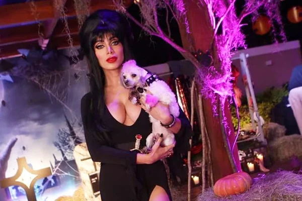 Halloween: veja o que as celebridades usaram nesta semana