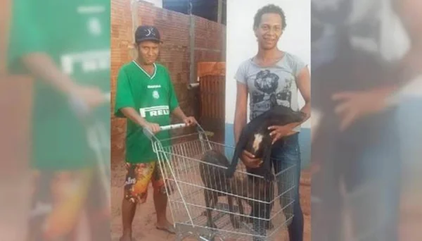 Aliado de Bolsonaro que destruiu placa de Marielle é eleito deputado
