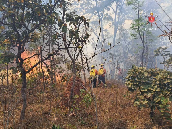 Incêndio florestal chega próximo a casas no Park Way