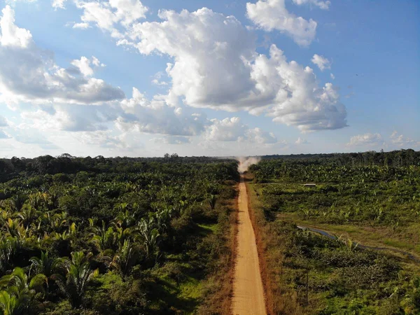 BR-319, na Amazônia
