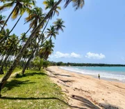 A Praia de Garapuá, na Bahia, oferece aos turistas um mar sensacional com piscinas naturais, areia clarinha e muitos coqueiros. É o cenário ideal para quem quer descansar ou curtir 