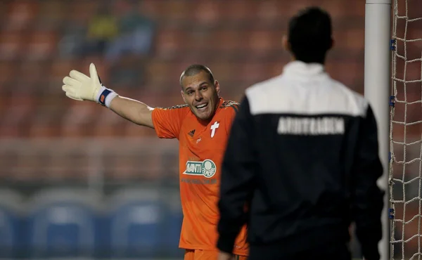 Ex-goleiro do Palmeiras critica vacina e recebe cutucada nas redes