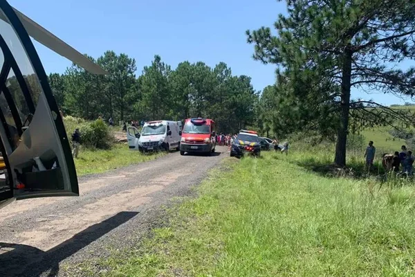 menina de 12 anos morre após ser atingida por galho de árvore no paraná
