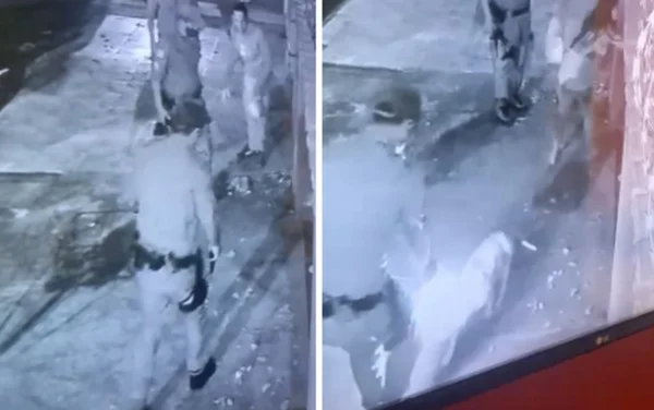 PM mata pit-bull a tiros após abordagem em casa de Goiás: “Covardia”