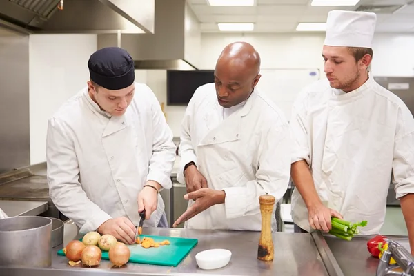 Artigo: formei em gastronomia, com o que posso trabalhar?