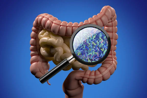 Ilustração colorida do interior do corpo humano com zoom no intestino - Metrópoles.