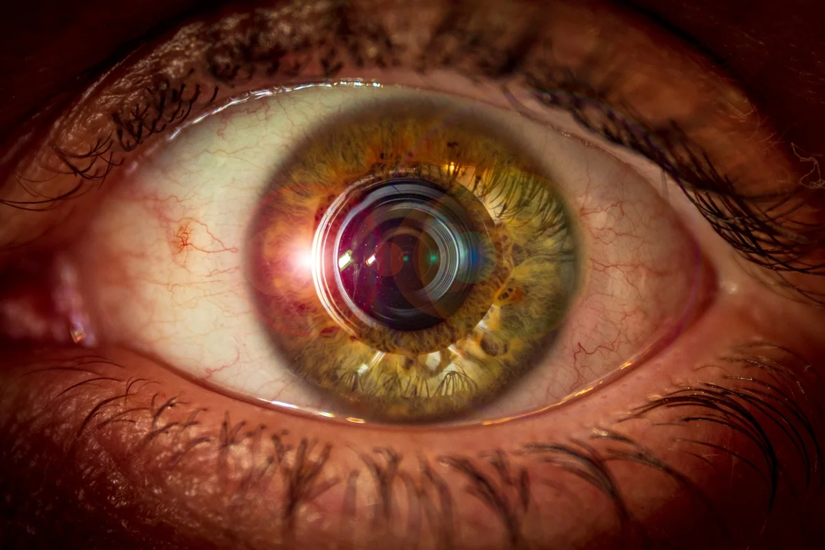 Cientistas Revivem Retina Deolvido Após a Morte