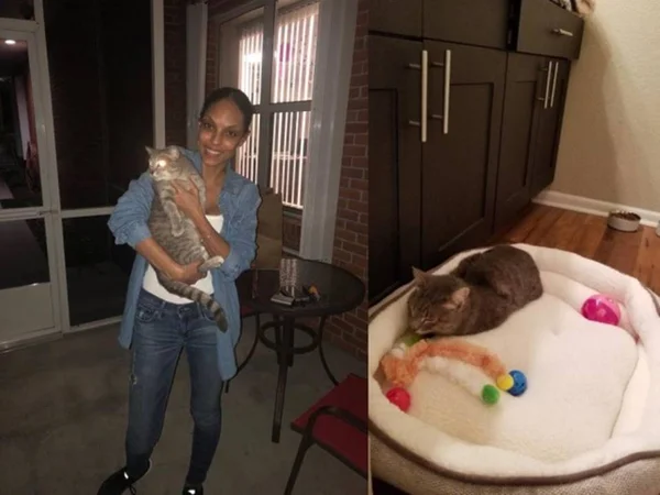 Gata se reencontra com dona 2 anos após sumir durante furacão