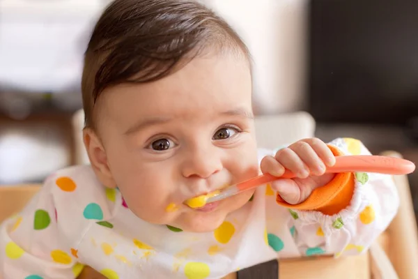 Saiba os alimentos permitidos ao bebê de seis meses a 1 ano