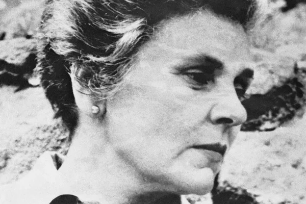 Homenagem a Elizabeth Bishop na Flip revolta escritores