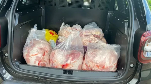 goias abatedouro clandestino carne - Metrópoles
