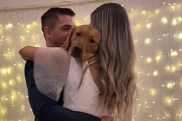 foto de casal de noivos com golden retriever no colo, ele está com a cabeça deitada no ombro da noiva
