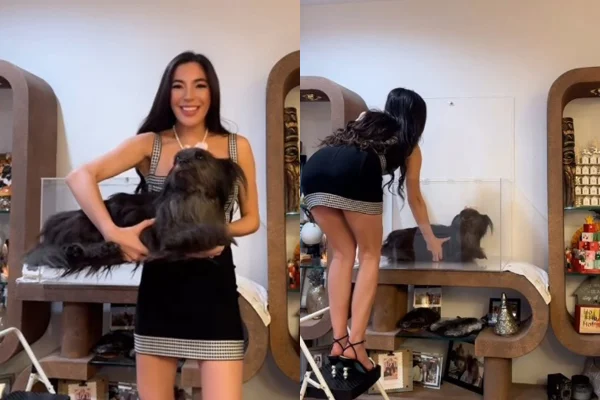 Influencer causa polêmica após expor corpo da cadela morta em caixa