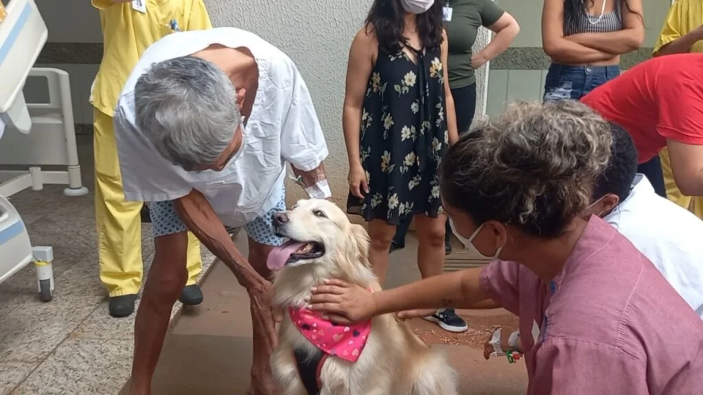 Terapia animal: pacientes recebem visitas de pets em Aparecida (GO) - imagem 2 Terapia animal: pacientes recebem visitas de pets em Aparecida (GO) - imagem 2