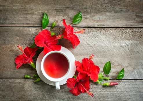 chá de hibisco