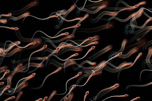 Ilustração de espermatozoides humanos. Metrópoles