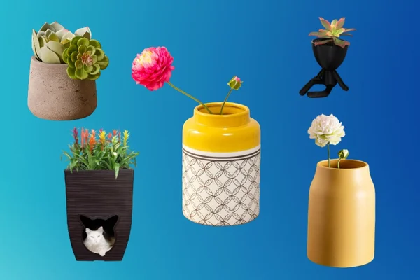 Vitrine M, imagem de capa para lista de vasos de planta
