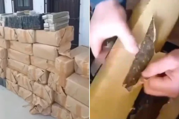 Motorista é preso pela PF com caminhão baú recheado de maconha