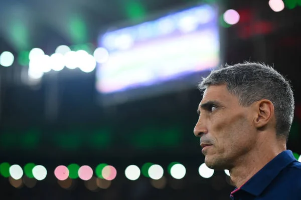 Timão, Galo, Santos e Vasco, todos querem o técnico Vojvoda