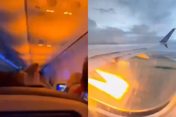 avião eua colisão coelho - Metrópoles