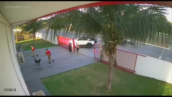 Vídeo: criança de 2 anos se afoga em piscina e é salva por bombeiros