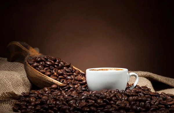 Marca brasiliense Café do Sítio lança blend premium