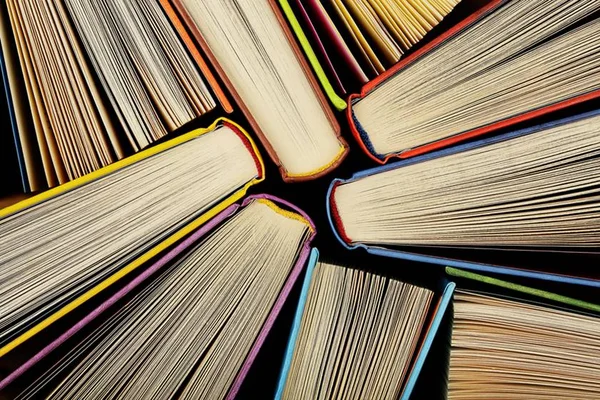 MEC lança programa de incentivo para leitura em casa