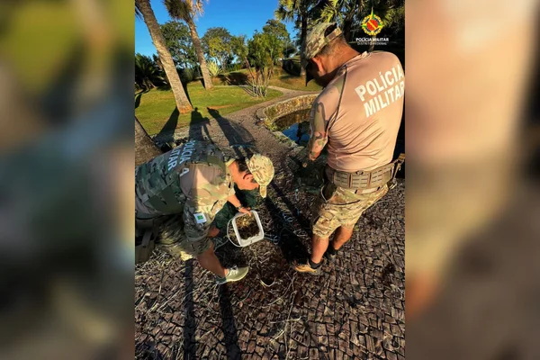 pmdf-pesca-detenção-lago paranoá