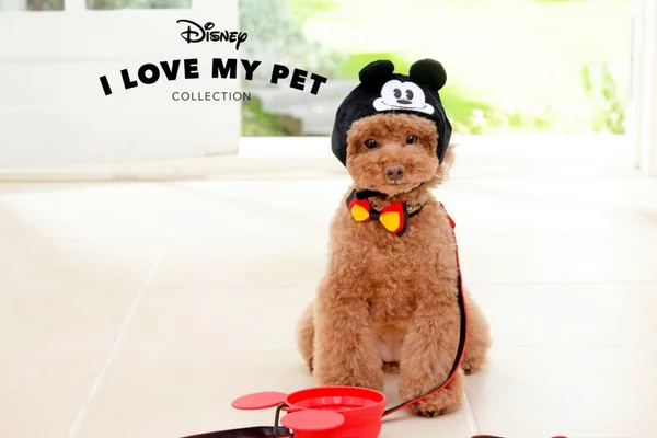 Disney lança linha de acessórios exclusiva para pets