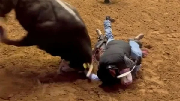print de vídeo em que pai se jogo sobre o filho em rodeio