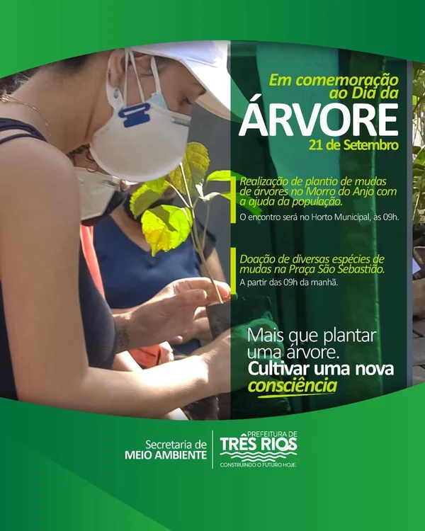 Planta é confundida com maconha e causa tumulto em Três Rios (RJ) - destaque galeria Planta é confundida com maconha e causa tumulto em Três Rios (RJ) - destaque galeria