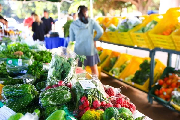 Mais saúde e sabor: conheça 33 feiras orgânicas do Distrito Federal