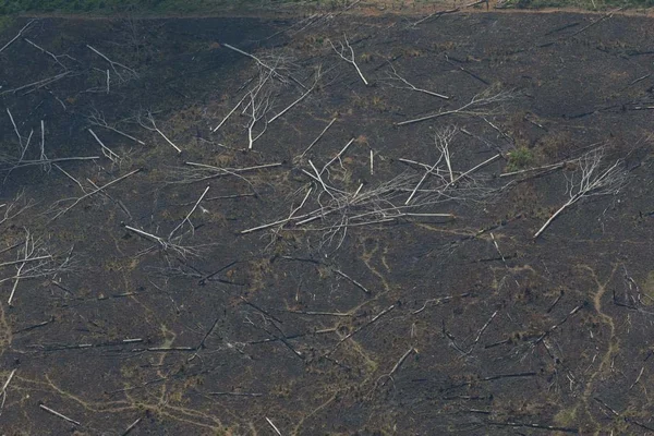 sistema de combate de focos de incêndios na amazonia bombeiros sobrevoam áreas de queimadas próximo a Porto Velho em Rondonia