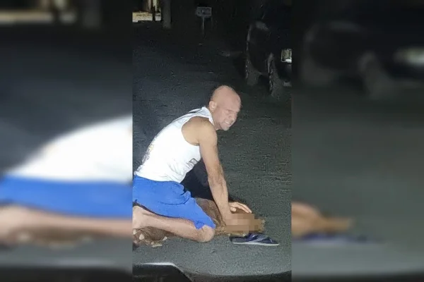 Homem e pit-bull - Metrópoles