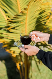 Rico em cafeína, o café dá energia e melhora a concentração