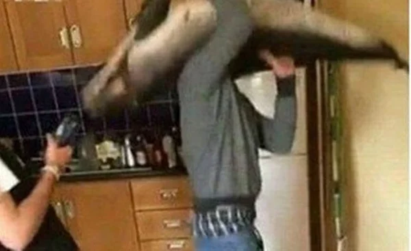 Homem dança com cadáver de golfinho em festa e gera revolta na web