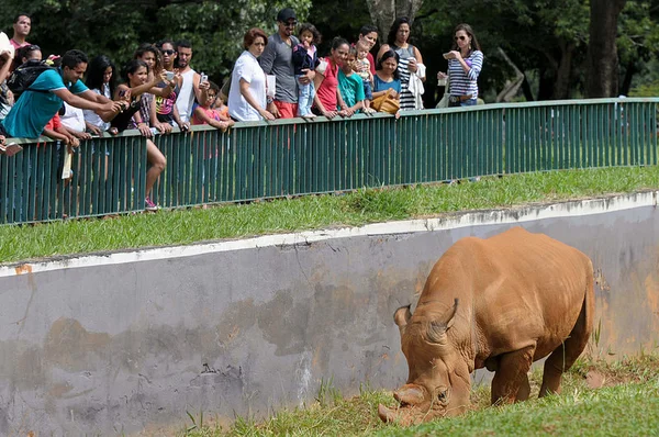 Último fim de semana no Zoo com ingresso a R$ 2