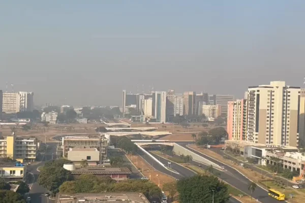 Fumaça no DF: bombeiros atendem 93 ocorrências de incêndio em 24h