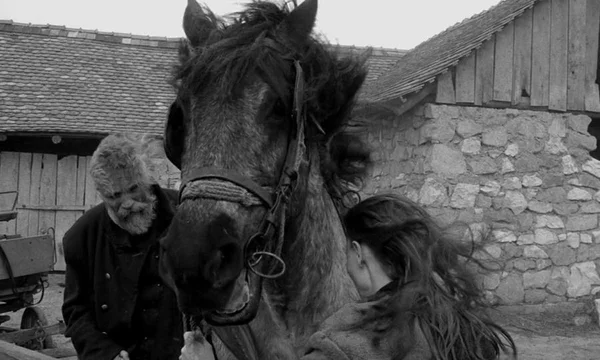 Crítica: “O Cavalo de Turim” narra crônica sobre mortalidade