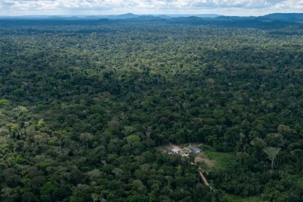 Terra Indígena Kawahiva do Rio Pardo, em Mato Grosso