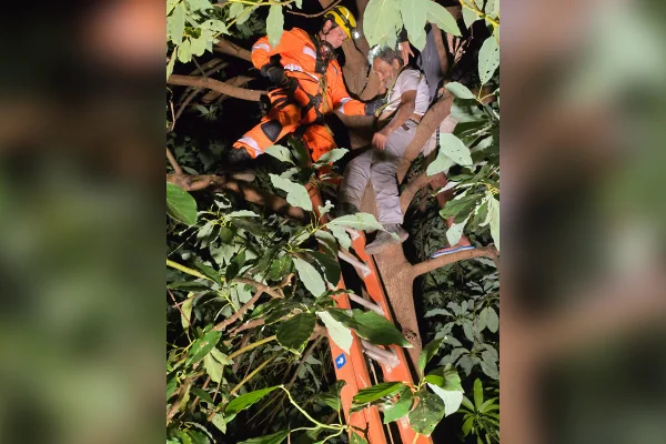 Idoso resgatado de goiabeira em Patos de Minas