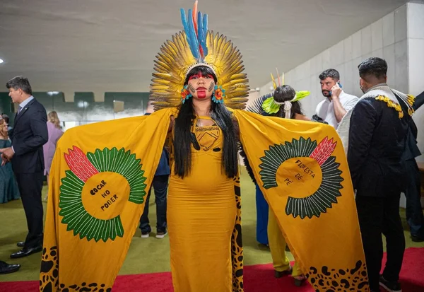 Deputada indígena Célia Xakriabá na Câmara